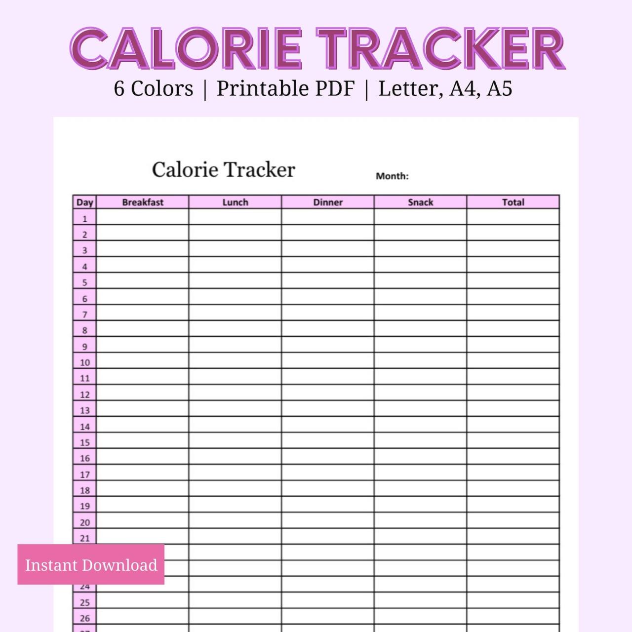 Daily Calorie Tracker Template Printable - M393 – mrsneat